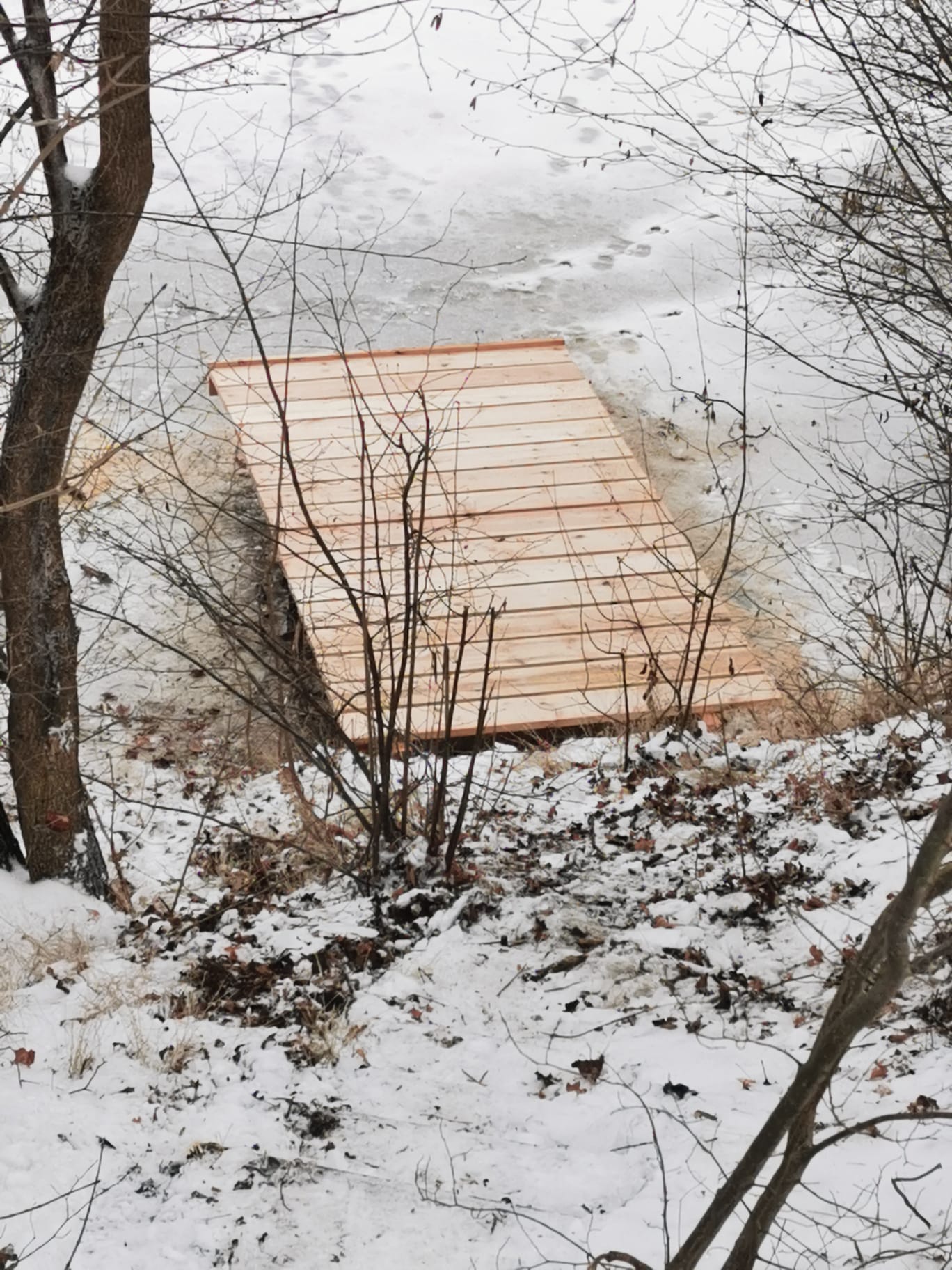 Du betrachtest gerade Steg-Reparaturen am Glasower See