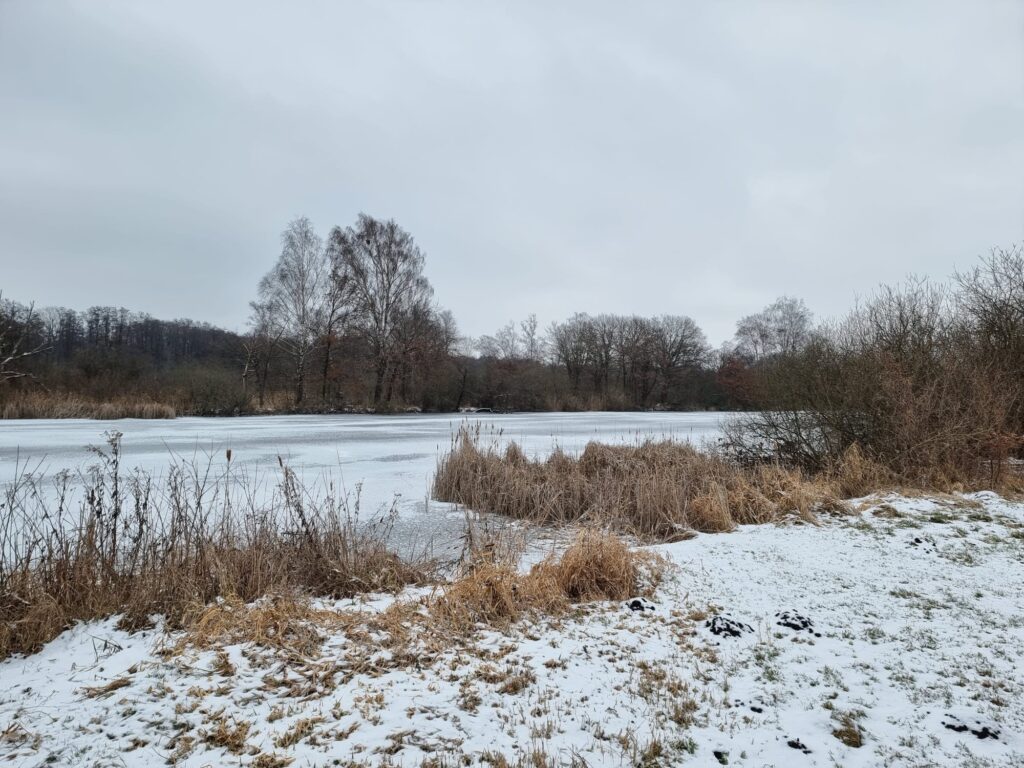 Arbeitseinsatz am Vier-Pfähle-Torf