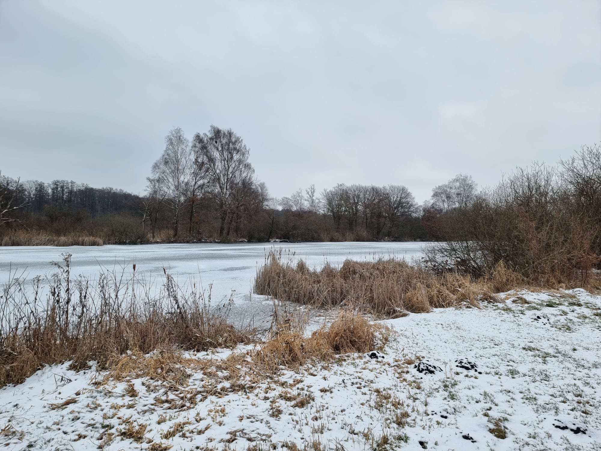 Du betrachtest gerade Arbeitseinsatz am Vier-Pfähle-Torf